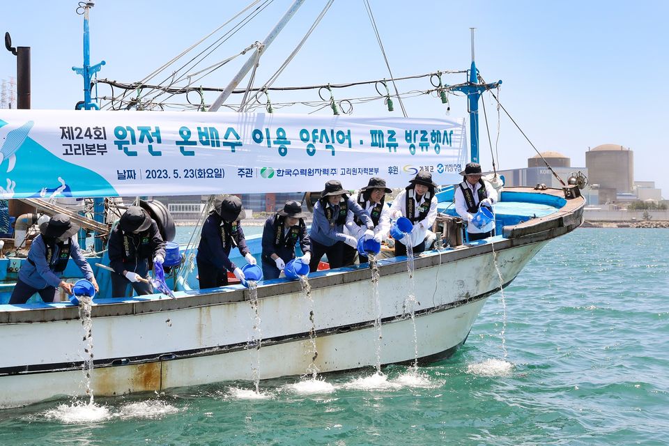 고리원자력본부는 지난 5월 23일 부산시 기장군 장안읍 월내항에서 ‘온배수 이용 양식 어패류 방류행사’를 개최해 발전소 온배수로 양식한 어패류 5만 미를 방류했다.